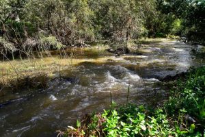 Werribee River Association thanked for service