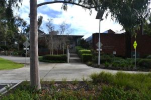 Wattle Avenue study sparks avalanche of responses