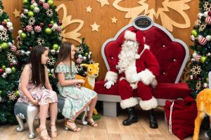 Point of Christmas cheer