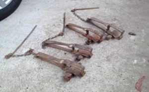 Illegal animal trap warning