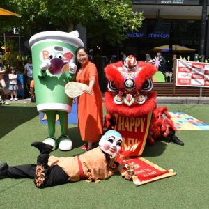 Lunar New Year celebrations