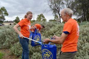 Clean up Grange Reserve