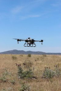 Drones sprays weeds