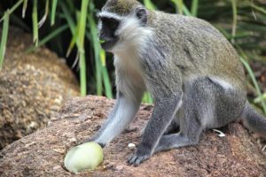Keepers get creative for warm Autumn beginnings