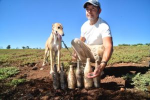 This week’s best picture