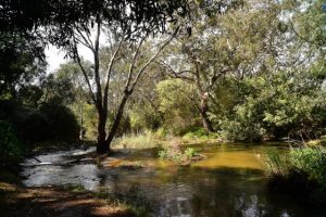 Walk a mile in Werribee