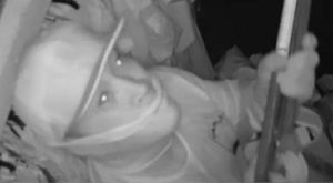 Thief steals $150,000 worth of jewellery and cash