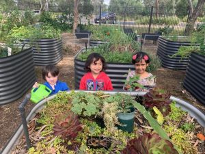 Pre-schoolers get gardening