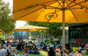 Pop up park in Point Cook