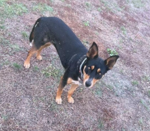 Have you seen Addie?