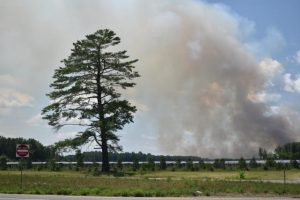 Planned burns in Wyndham