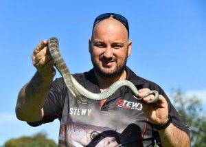 Stewy free to catch snakes