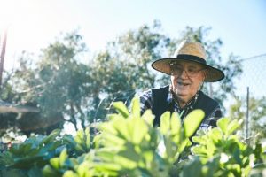 Applications now open for Lendlease’s community grant program