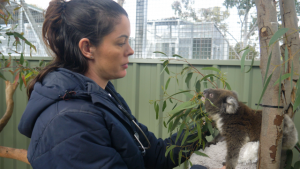 Zoo opens bear-y important animal facility