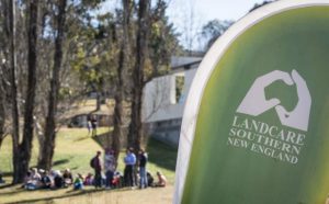 Junior Landcare holiday fun
