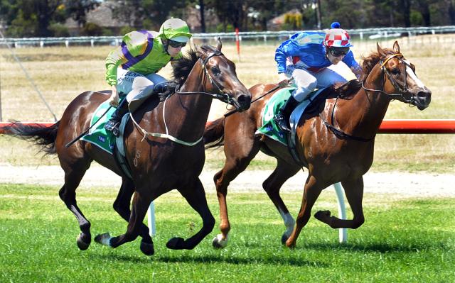 Werribee Racing Club