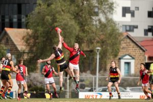 Suns to be back bigger and better