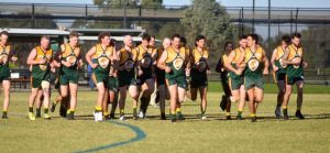 Falcons lock in co-coaches