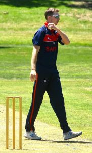 Cats full of confidence