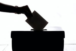 Council election panel members named