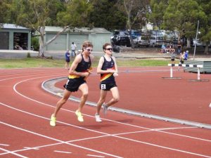 Relay success for Western Athletics