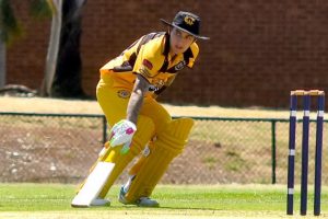 Tigers slump with the bat