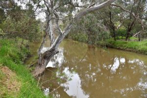 New way to expereince the Werribee River