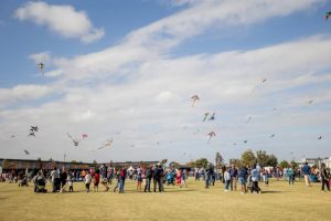 Kites bring colour to the sky