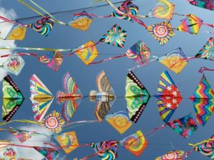 Kite festival flies into Wyndham