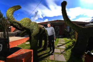 Through the lens: July and August