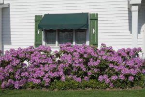 Sustainability Victoria shares efficient ways to beat the heat