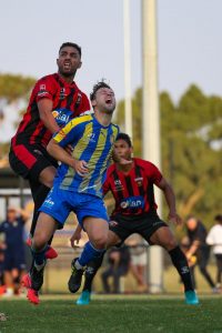 Bees primed for strong season