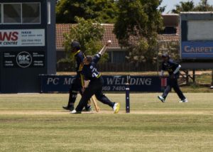 Cats fate in own hands