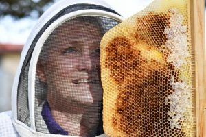 Bee at Iramoo workshop