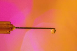 Number of illicit drug offenders decreases