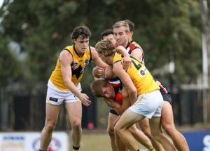Positive signs for Werribee