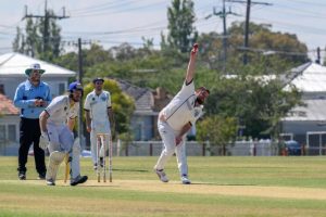 Sharks to learn from loss