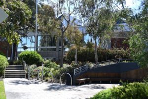 Park upgrades commence