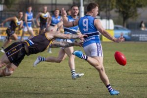 Centrals showing good signs