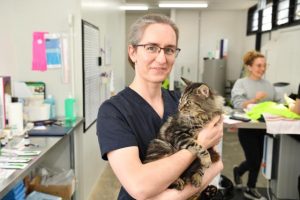 Non-profit vet to provide cheaper services, less stray cats.
