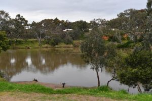 Protecting waterways in Melbourne’s west