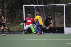 Tigers focusing on the basics