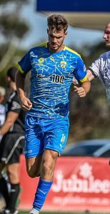 Bees keeping fighting hard