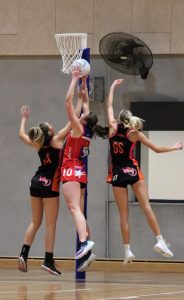 Falcons building nicely