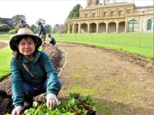 Beet planting begins