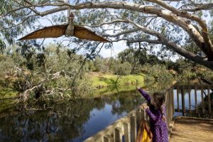 Landscape award for lower Werribee River.