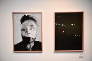 Wyndham Art Prize winners, finalists on display