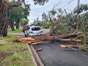 Hospital and homes lose power in strong winds.