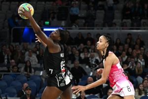 Nelson joins Falcons