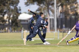 Monkey off the Cats back